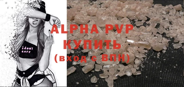 стаф Арсеньев