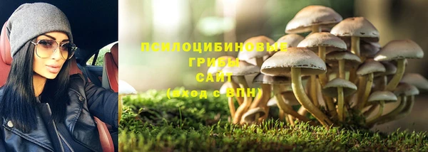 стаф Арсеньев