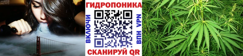 Марихуана конопля  mega ССЫЛКА  Сосновый Бор 